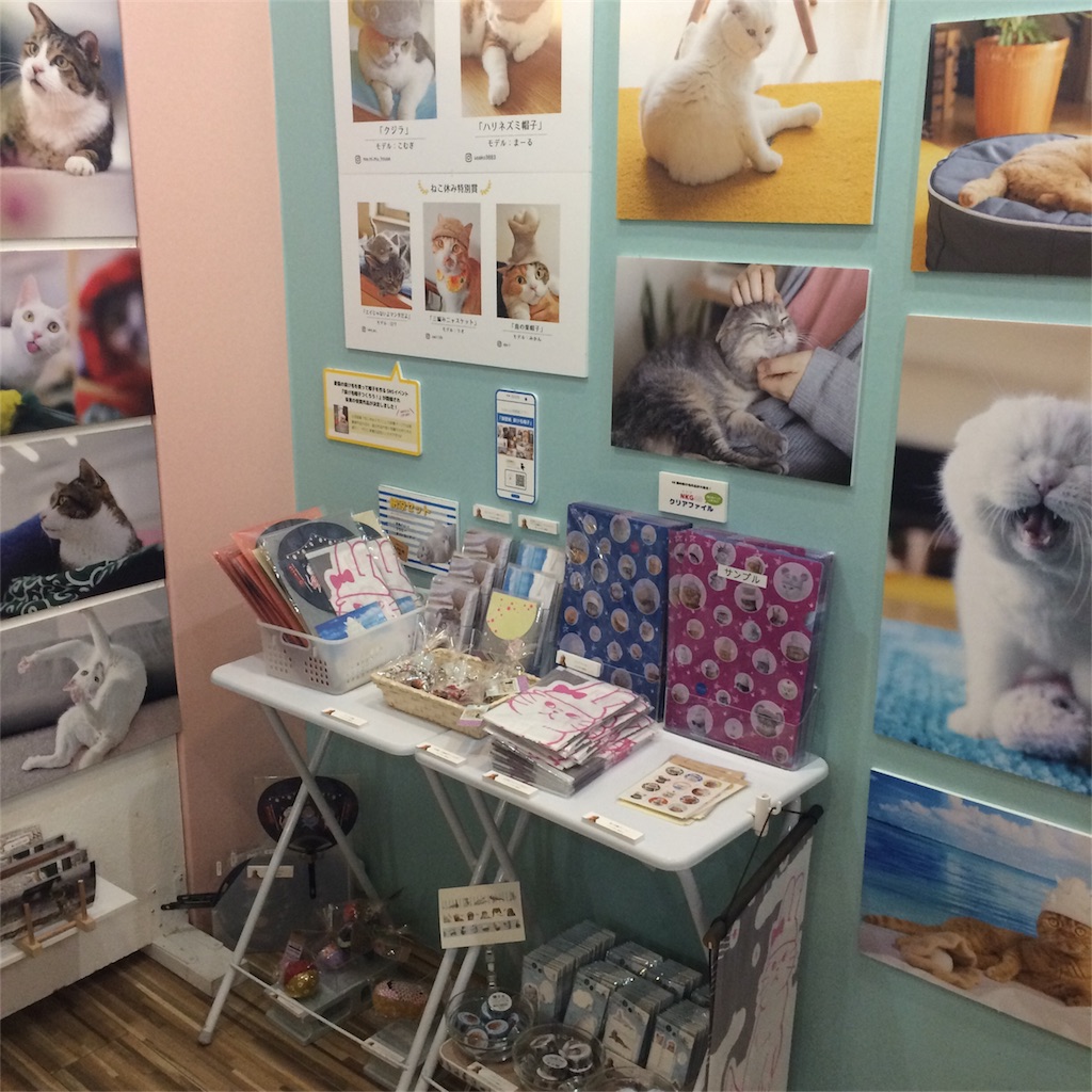 f:id:m_m1sha:20180825214045j:image