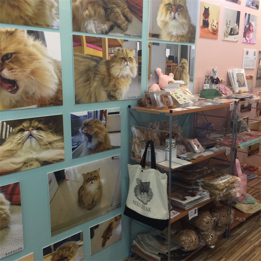 f:id:m_m1sha:20180825214059j:image