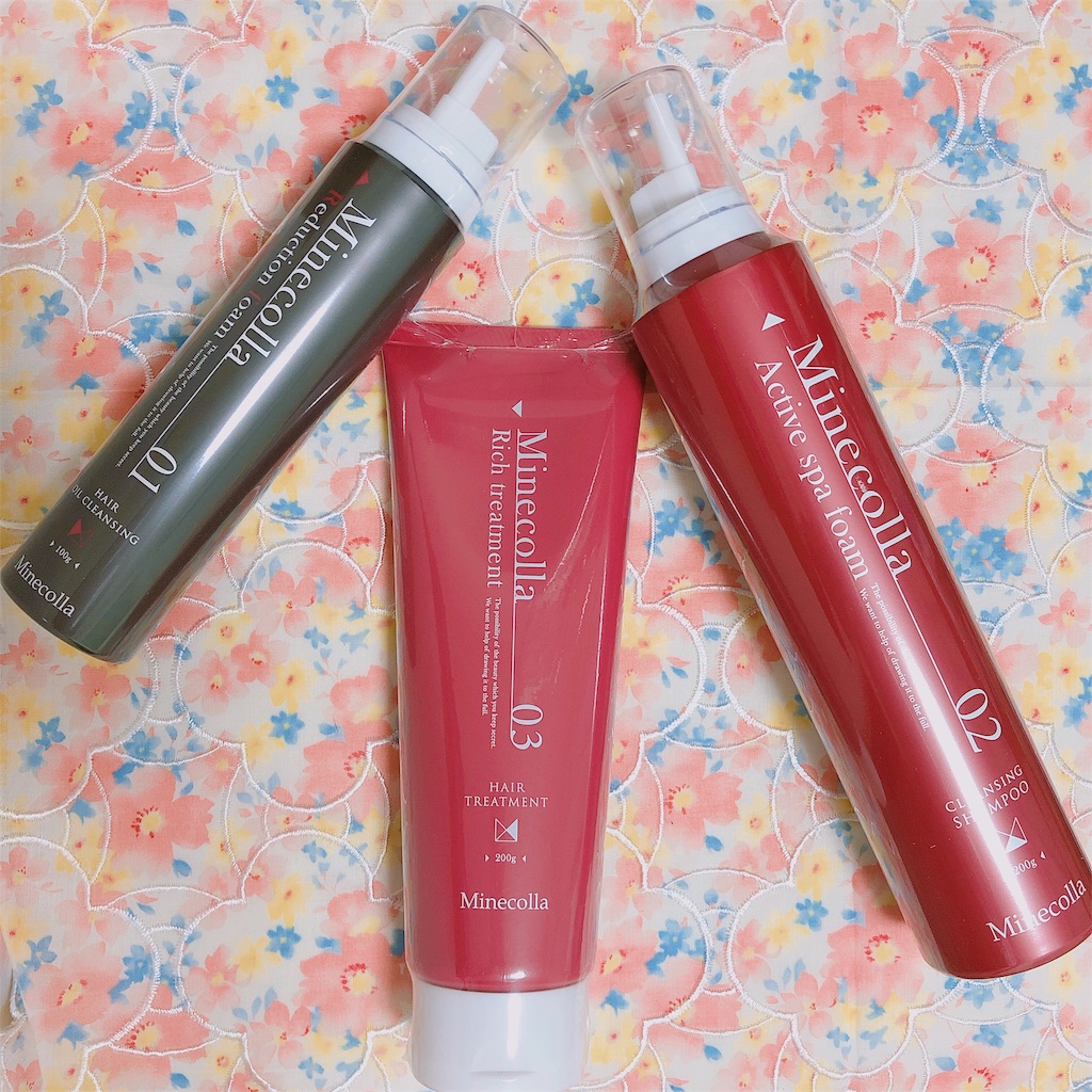 f:id:m_m1sha:20190627212844j:image