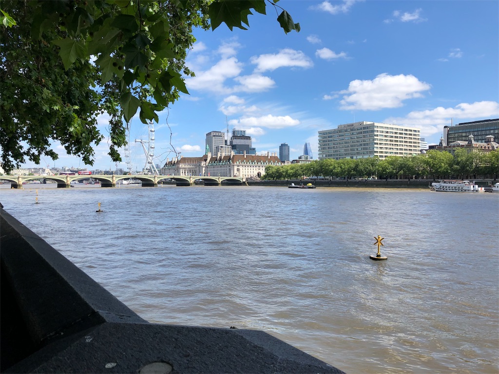 f:id:m_m1sha:20191009215705j:image