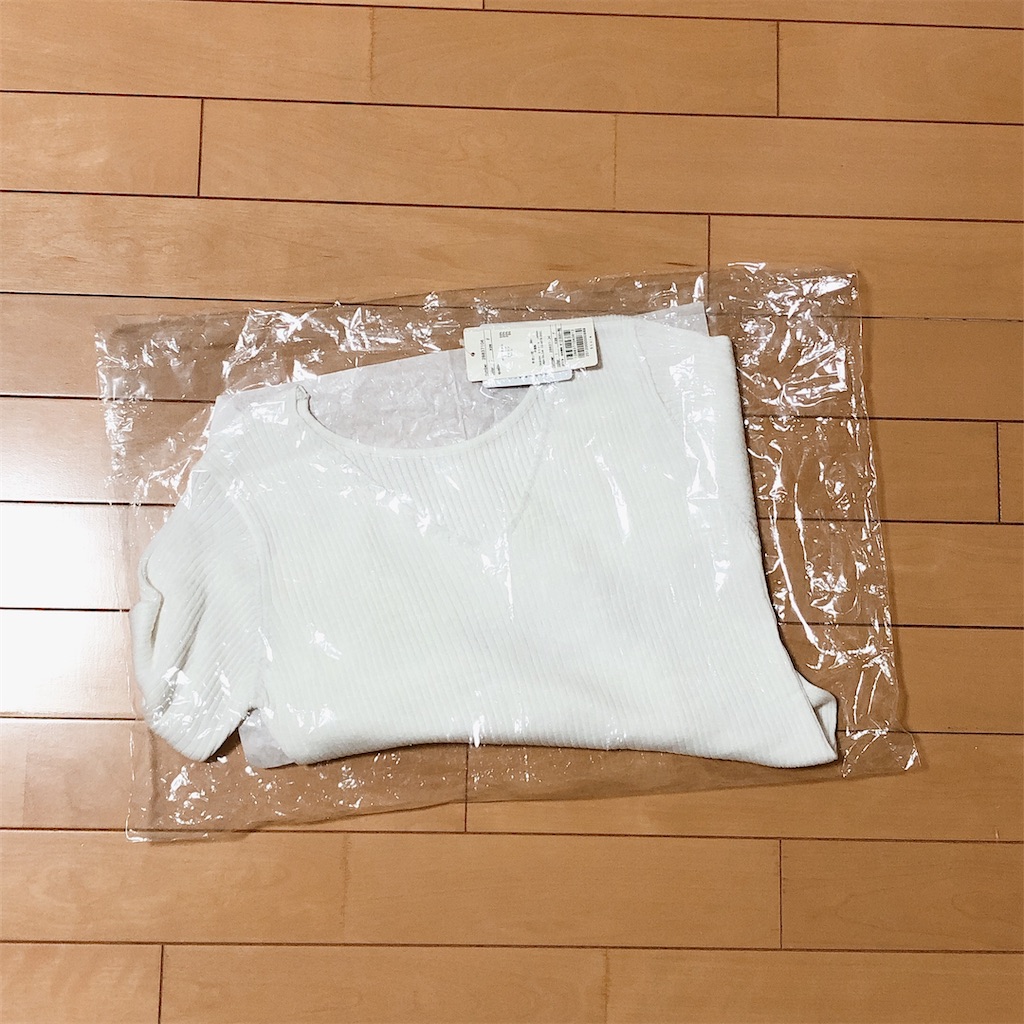 f:id:m_m1sha:20200103221523j:image