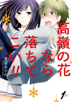 高嶺の花なら落ちてこい!!1巻の無料試し読み ≪高嶺の花なら落ちてこい!!1巻の無料試し読み≫
