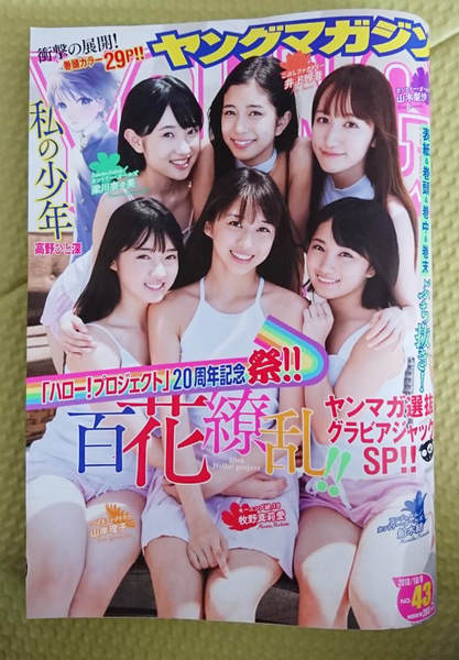 週刊ヤングマガジン2018年NO43 週刊ヤングマガジン2018年NO43