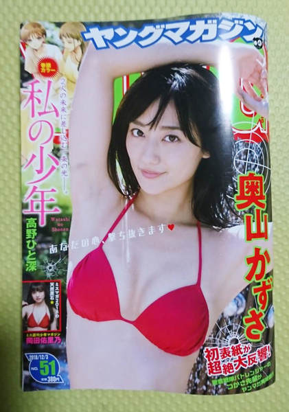 週刊ヤングマガジン2018年NO51 週刊ヤングマガジン2018年NO51
