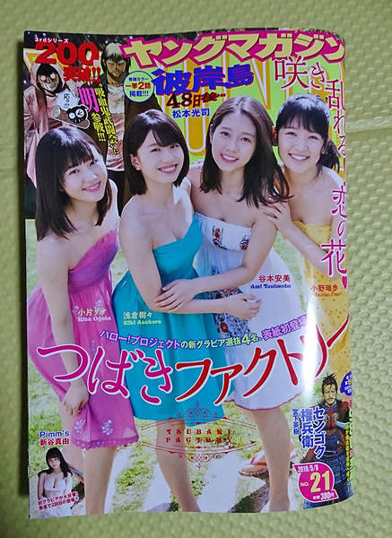 週刊ヤングマガジン2019年NO21 週刊ヤングマガジン2019年NO21