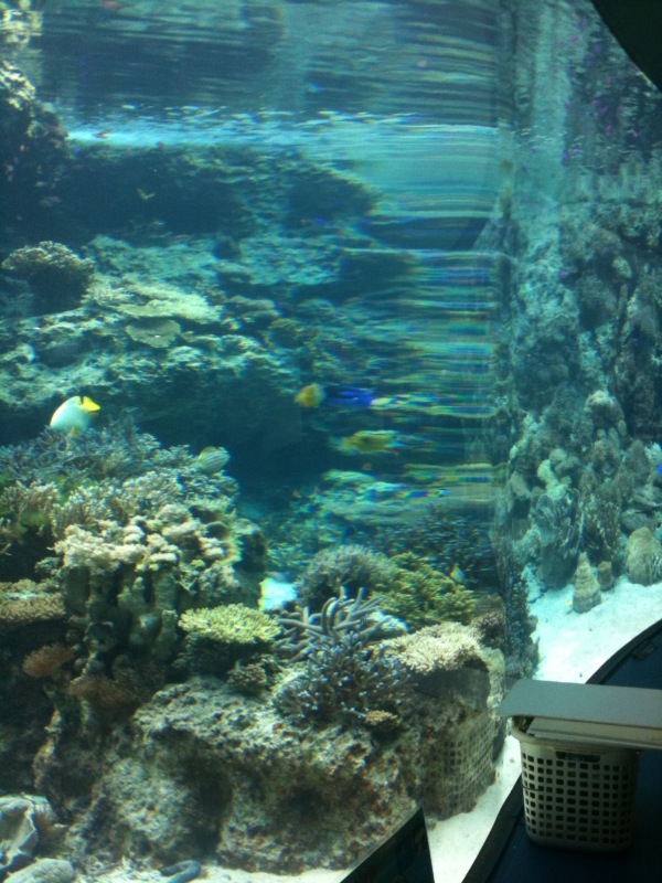 f:id:m_panna:20140630103436j:image:w360