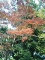 20051105134204