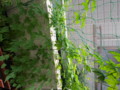 20090728071736