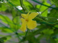 20090728071752