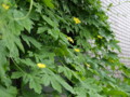 20090809133600