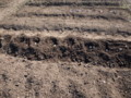20100207111218