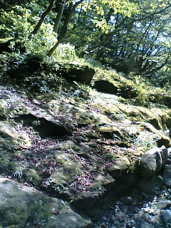 f:id:m_seki:20060923105359j:image:w100
