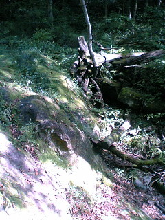 f:id:m_seki:20060923105421j:image:w100