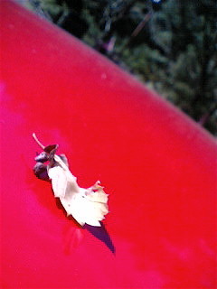 f:id:m_seki:20060923111209j:image:w100