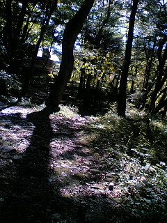 f:id:m_seki:20060923113149j:image:w100