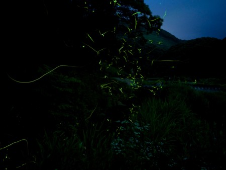 f:id:m_seki:20150629202619j:image