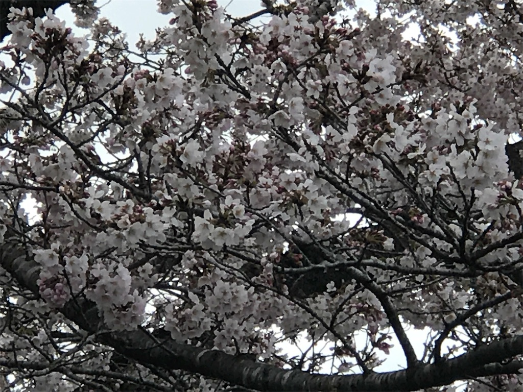 f:id:m_splash:20170407171157j:image