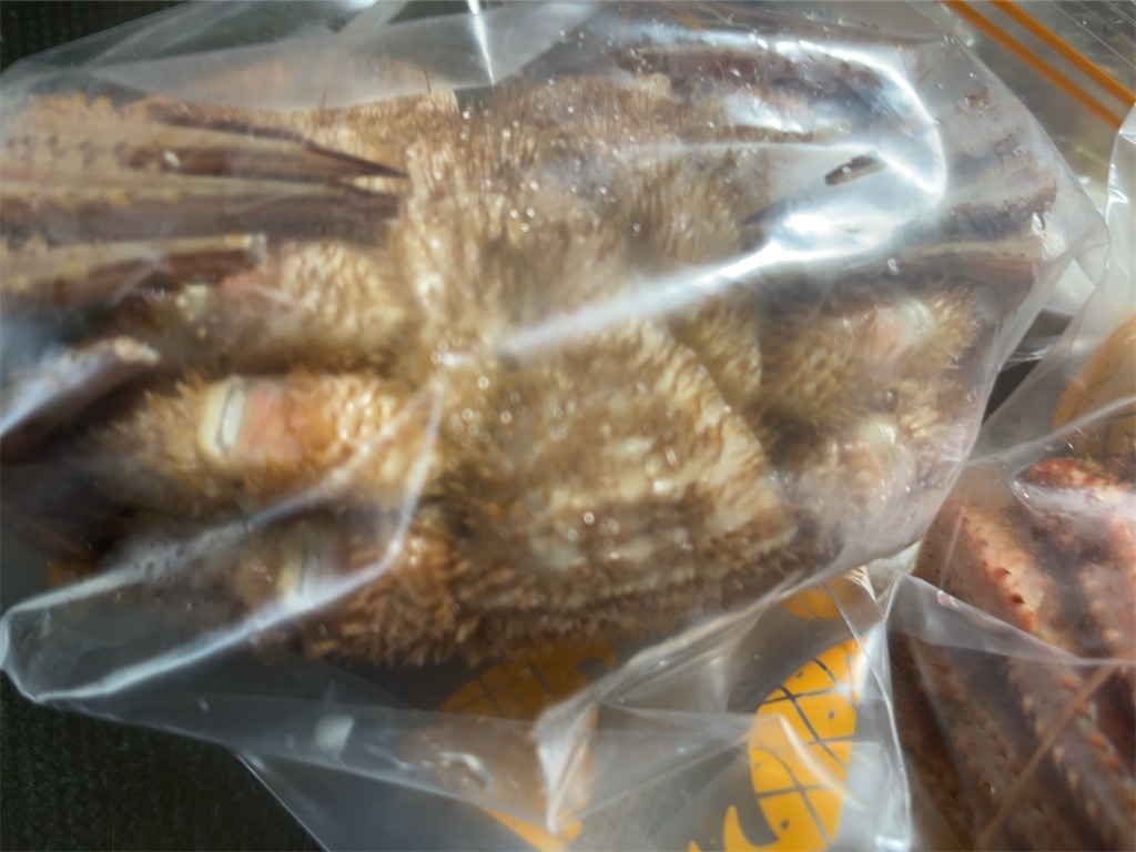 f:id:m_splash:20201227104326j:image