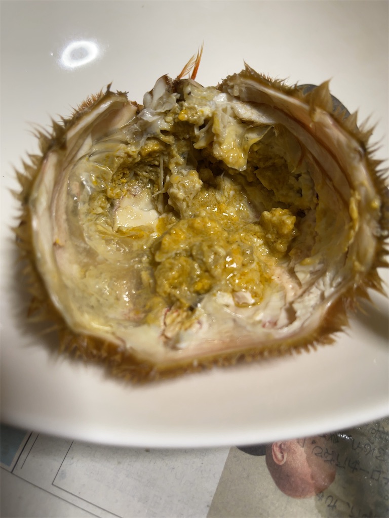 f:id:m_splash:20201228221321j:image