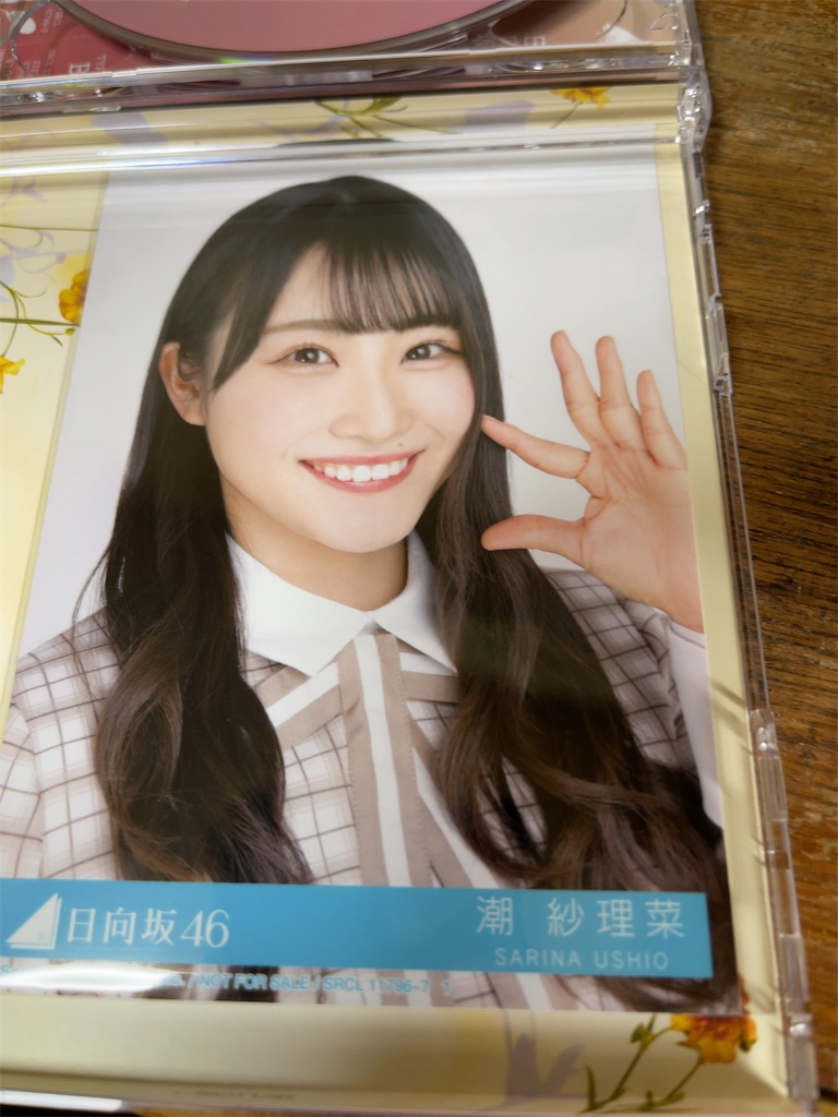 f:id:m_splash:20210616123728j:image