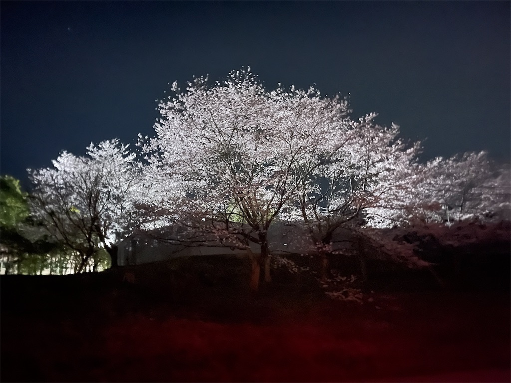 f:id:m_splash:20220330235614j:image