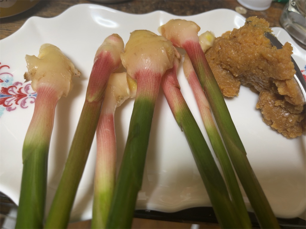 f:id:m_splash:20220807221536j:image