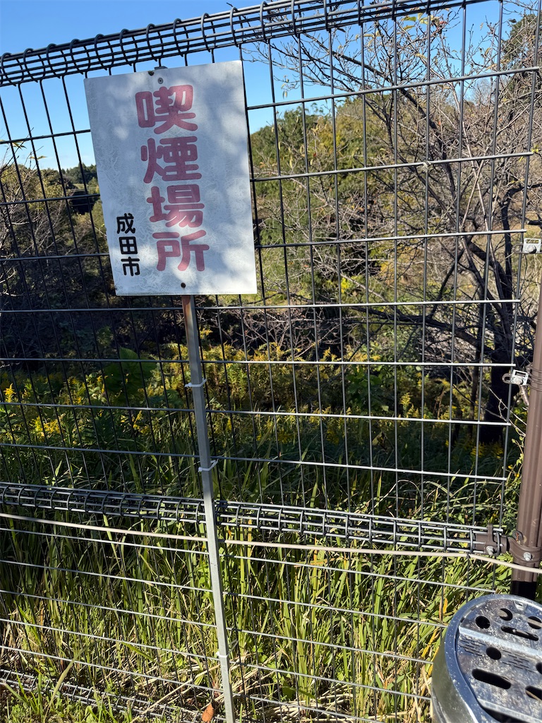 f:id:m_splash:20251103170100j:image