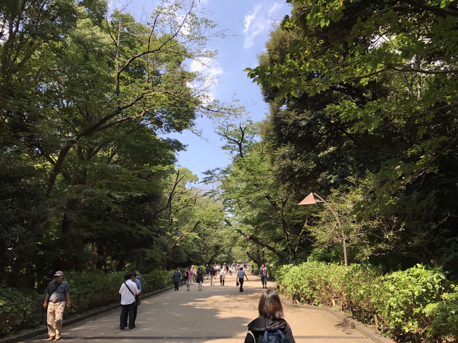 f:id:m_training:20170918231948j:plain f:id:m_training:20170918231948j:plain