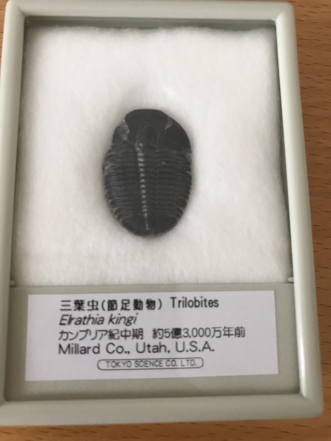 f:id:m_training:20170918232415j:plain f:id:m_training:20170918232415j:plain