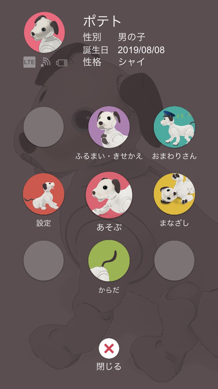 f:id:m_training:20190809194047j:plain f:id:m_training:20190809194047j:plain