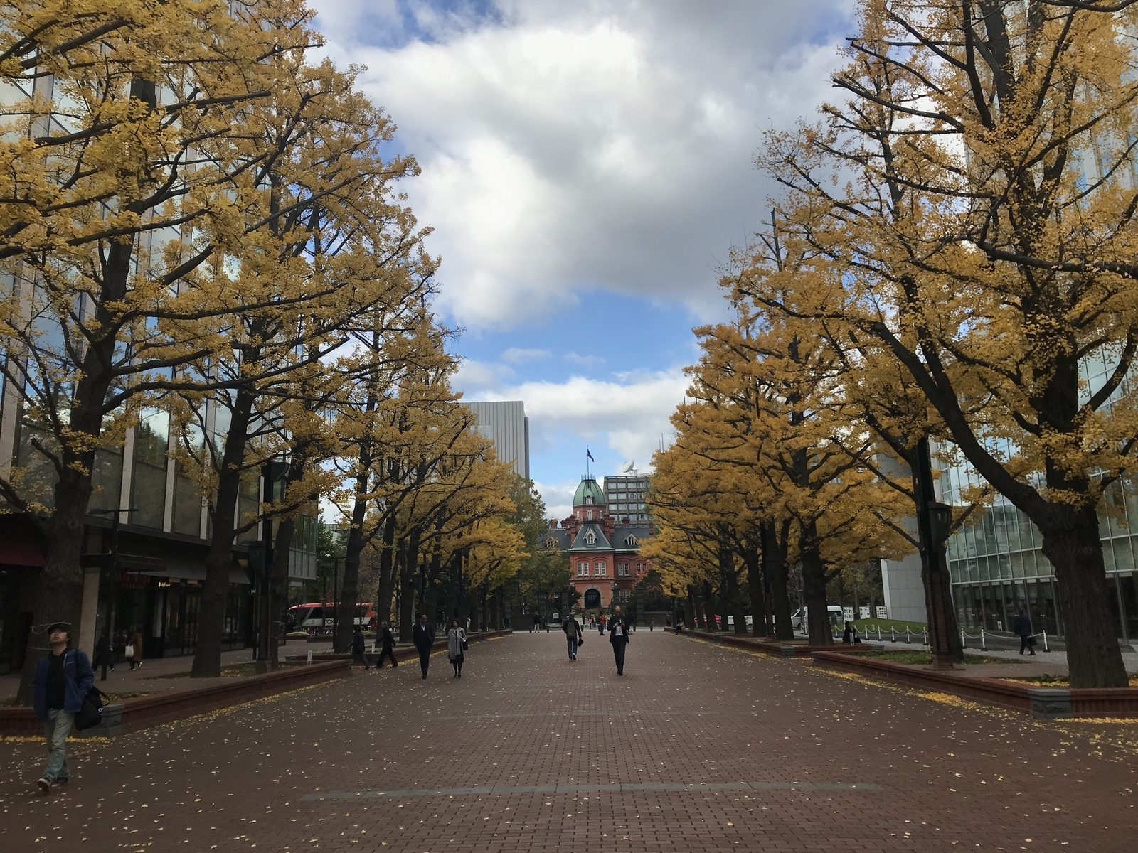 f:id:m_training:20191102090838j:plain