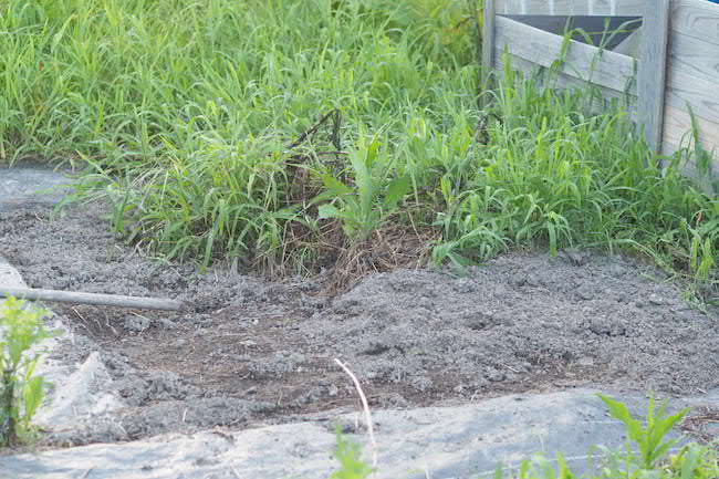 f:id:m_uta:20170811182650j:plain f:id:m_uta:20170811182650j:plain