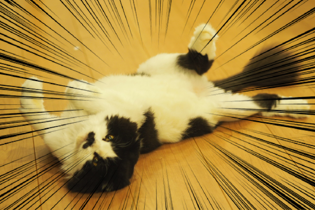 f:id:m_uta:20170827165814p:plain