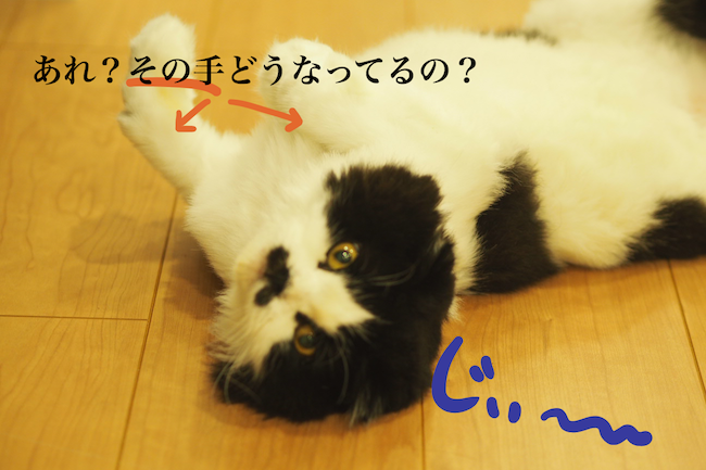 f:id:m_uta:20170827165824p:plain