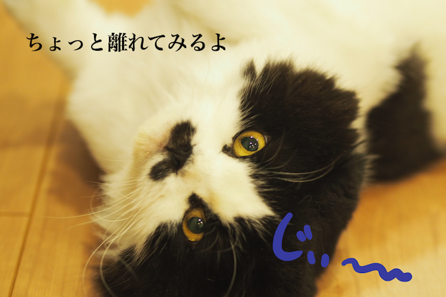 f:id:m_uta:20170827165831p:plain