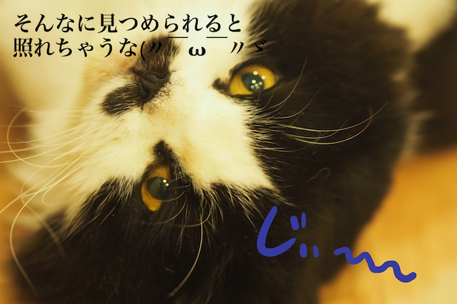 f:id:m_uta:20170827165838p:plain