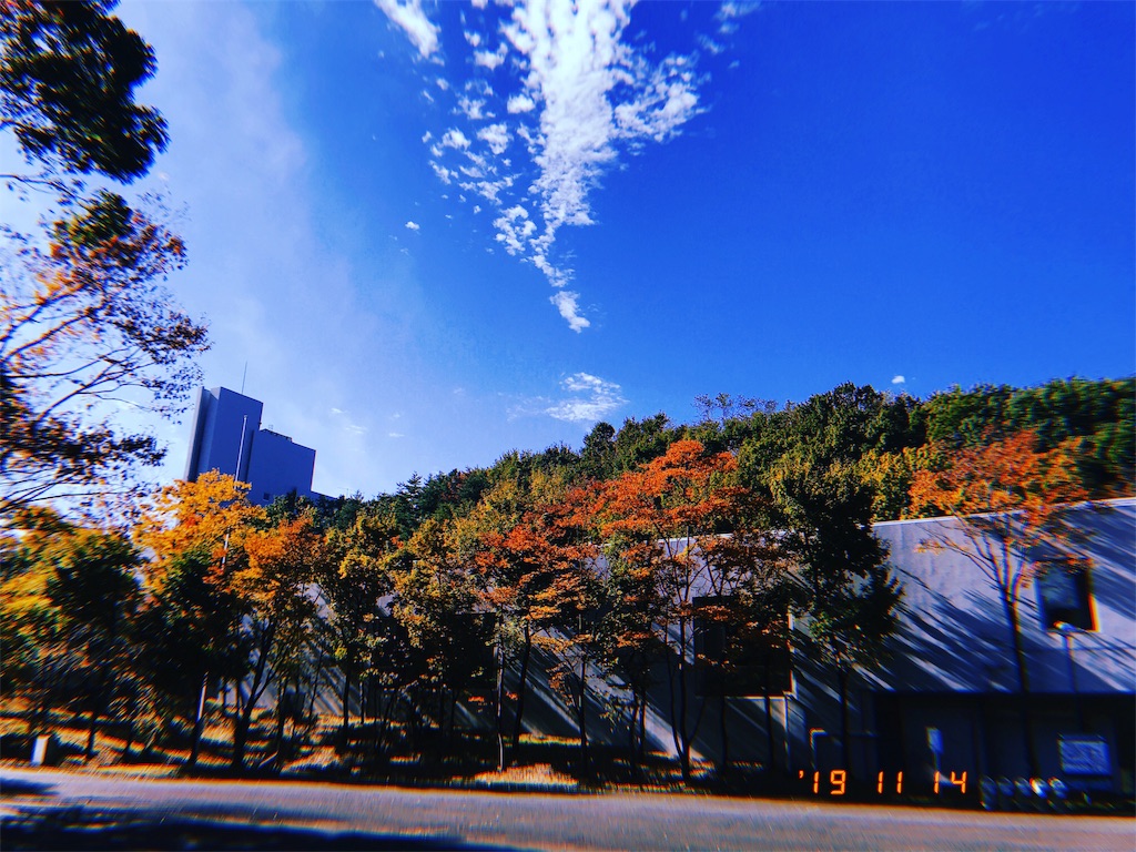 f:id:m_vc:20191115230727j:image f:id:m_vc:20191115230727j:image