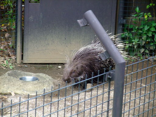 f:id:ma-aya:20090815022108j:image