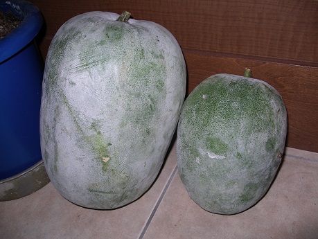 f:id:ma-jiji:20180901184215j:plain f:id:ma-jiji:20180901184215j:plain