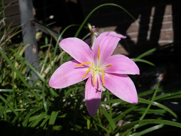 f:id:ma-jiji:20180930172951j:plain f:id:ma-jiji:20180930172951j:plain