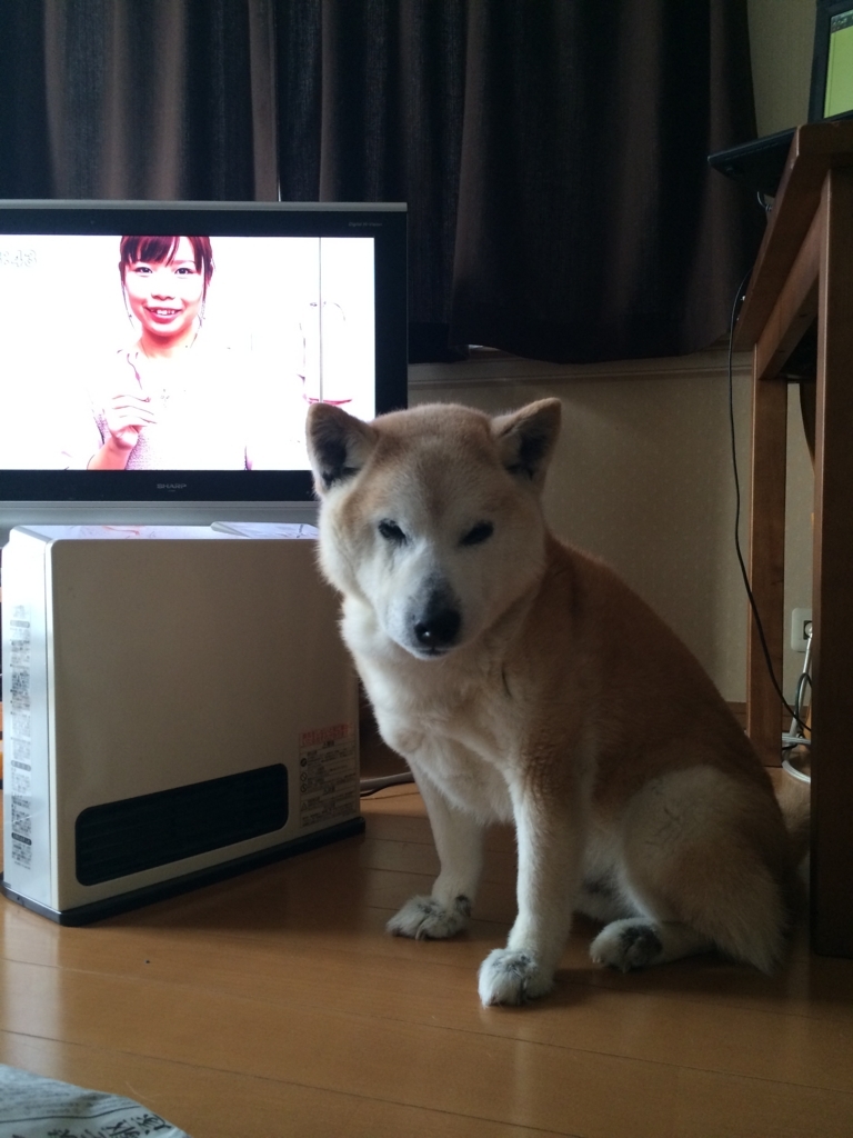 f:id:ma-miso:20180801194318j:plain f:id:ma-miso:20180801194318j:plain