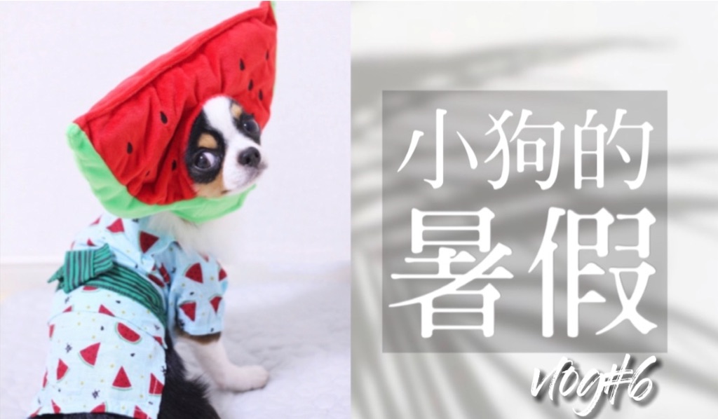 f:id:ma-ow:20200803030614j:image