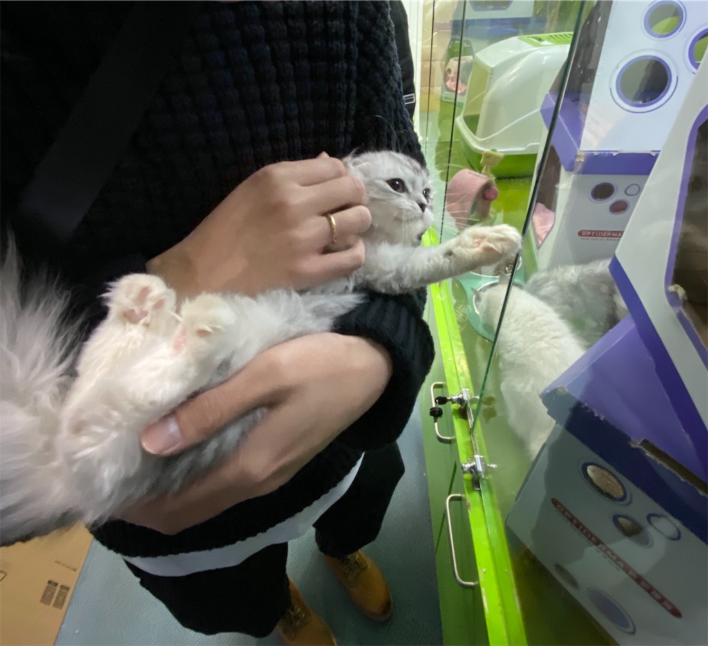 f:id:ma-ow:20200907141035j:image