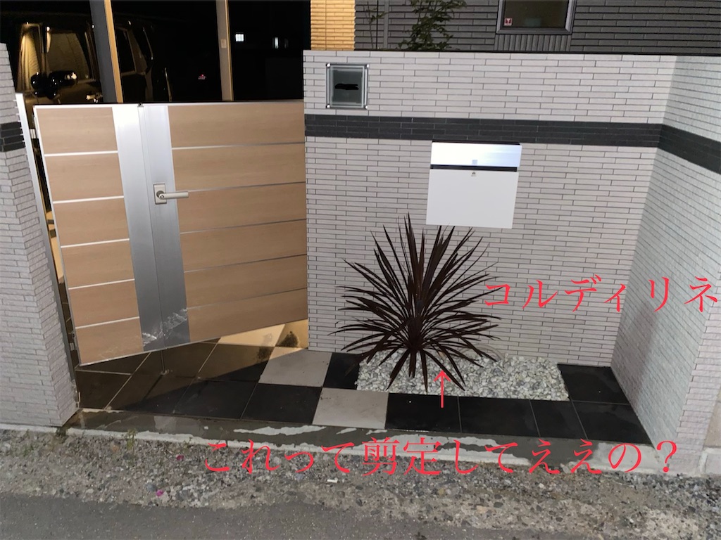 f:id:ma-rkun:20200601223408j:image