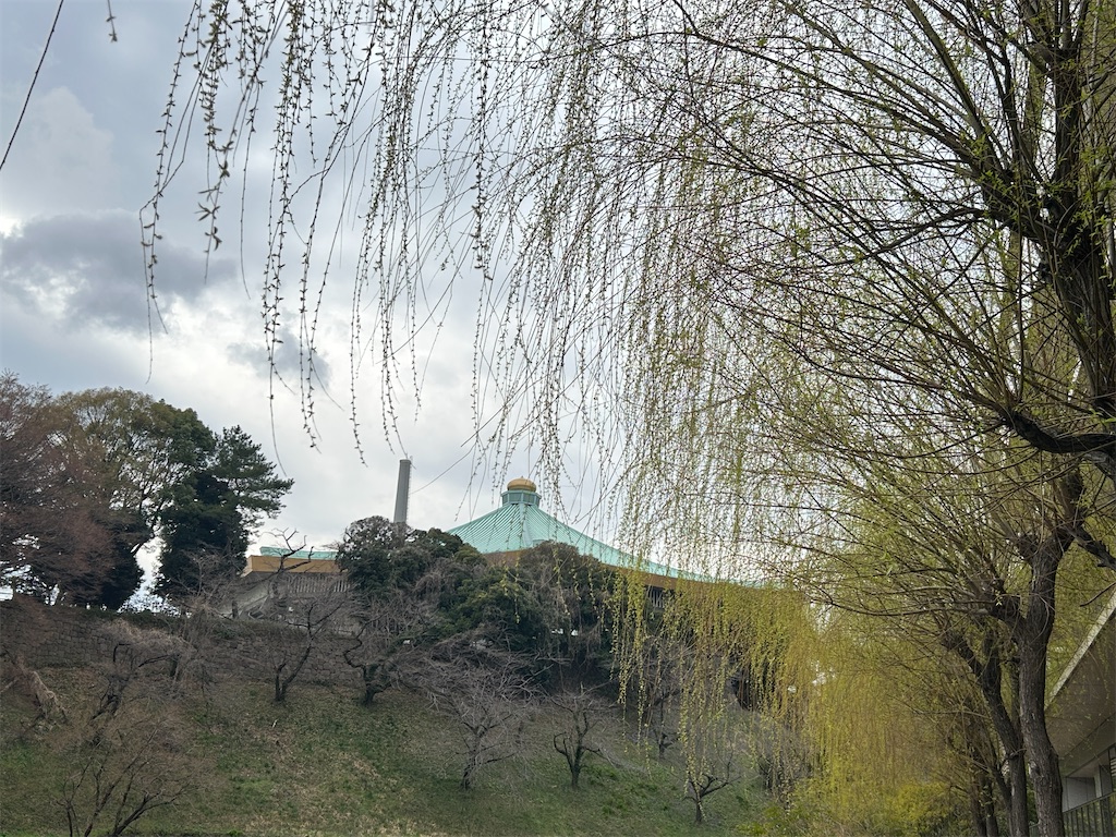f:id:ma-si-1128:20260318171506j:image