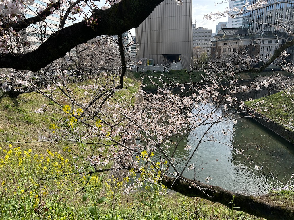 f:id:ma-si-1128:20260327093542j:image