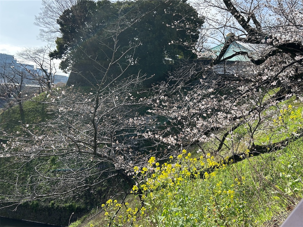f:id:ma-si-1128:20260327093549j:image