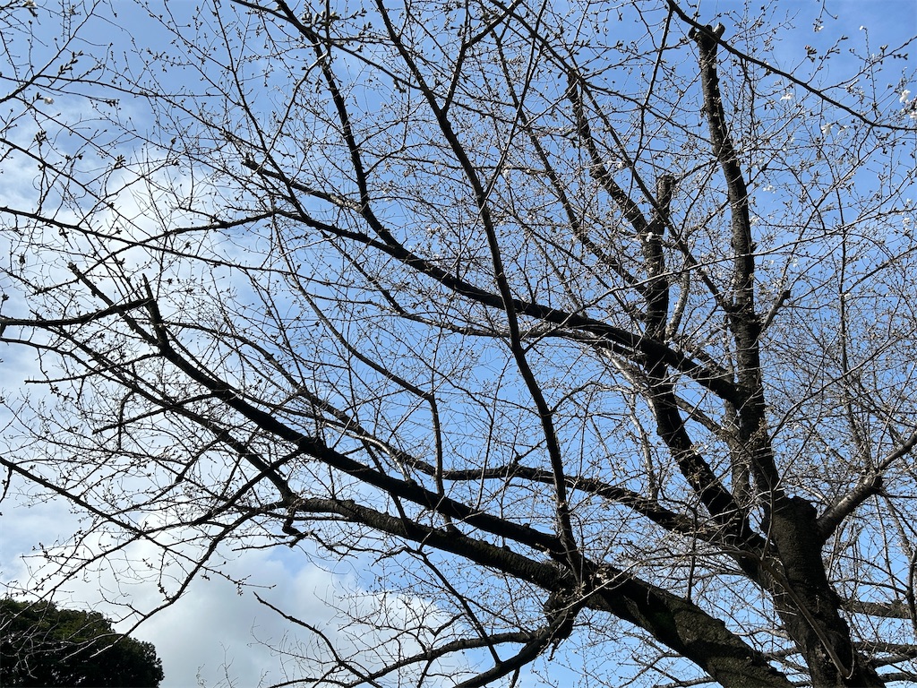 f:id:ma-si-1128:20260327093552j:image