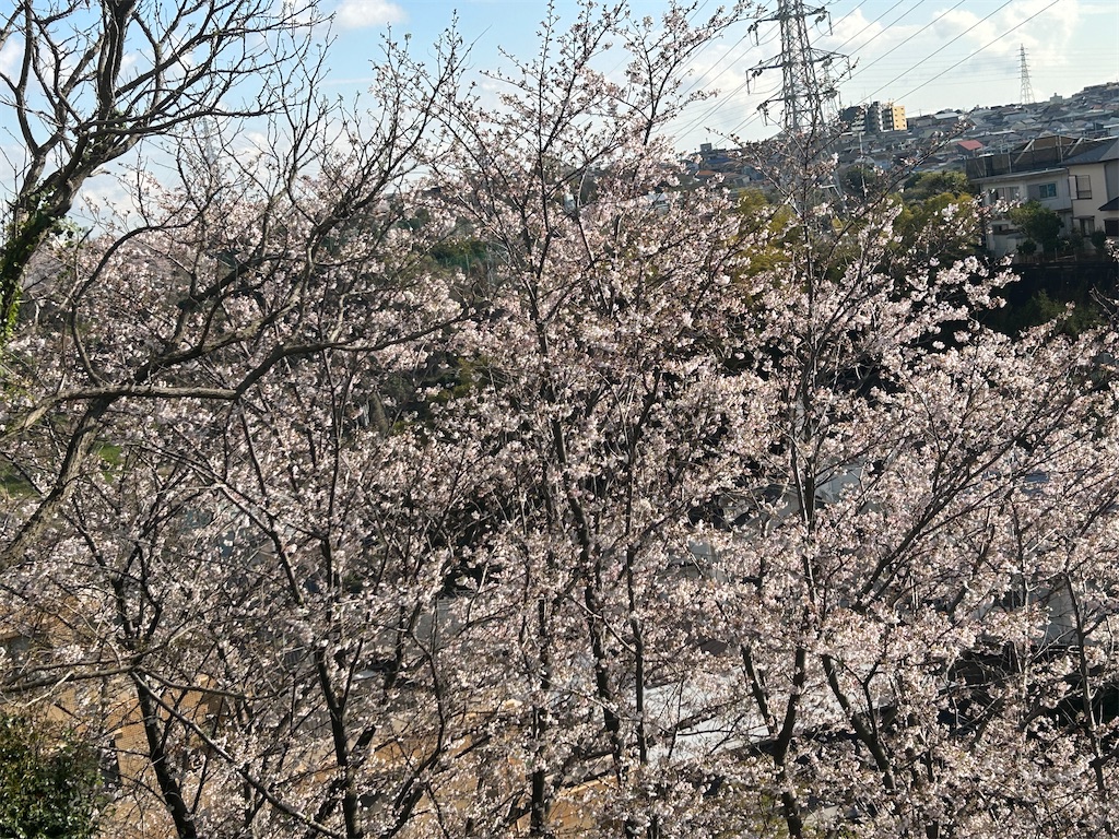 f:id:ma-si-1128:20260402161016j:image