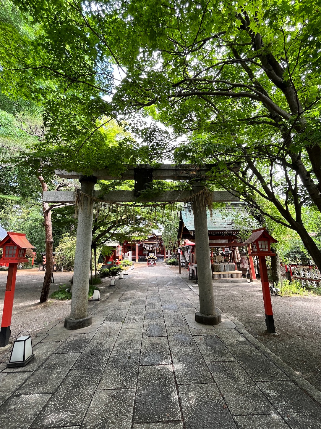 f:id:ma-taru:20220522105305j:image f:id:ma-taru:20220522105305j:image
